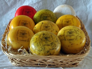 Ons vaste assortiment kleine kazen